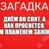 Днём он спит, А как проснется, Ярким пламенем зажжется.