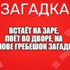 Встаёт на заре, поёт во дворе, на голове гребешок загадка.