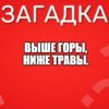 Выше горы, ниже травы.