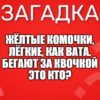 Жёлтые комочки, Лёгкие, как вата. Бегают за квочкой Это кто?
