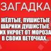 Жёлтые, пушистые Шарики душистые. Их укроет от мороза В своих веточках...