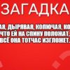 Жёсткая, дырявая, Колючая, корявая. Что ей на спину положат, Всё она тотчас изгложет.