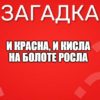 И красна, и кисла На болоте росла