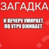К вечеру умирает, По утру оживает.