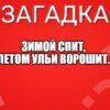 Зимой спит, Летом ульи ворошит.