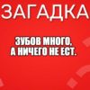 Зубов много, а ничего не ест.