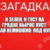 И зелен, и густ на грядке вырос куст. Покопай немножко: под кустом...