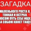 Маленького роста я, Тонкая и острая. Носом путь себе ищу, За собою хвост тащу.
