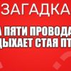 На пяти проводах Отдыхает стая птах.