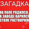 На поле родился, На заводе варился, На столе растворился.