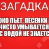 Молоко пьет, Песенки поет. Чисто умывается, А с водой не знается.
