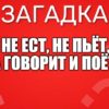 Не ест, не пьёт, а говорит и поёт.