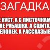 Не куст, а с листочками, Не рубашка, а сшита, Не человек, а рассказывает.