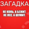 Не конь, а бежит, Не лес, а шумит.