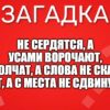 Не сердятся, а усами ворочают, Не молчат, а слова не скажут, Идут, а с места не сдвинутся.
