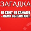 Не сеют, не сажают – сами вырастают.