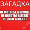 Не моторы, а шумят, Не пилоты, а летят, Не змеи, а жалят.