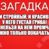 Он и стройный, и красивый, У него густая грива! Жаль, нельзя на нем промчаться, Можно только покачаться.