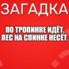 По тропинке идёт, Лес на спинке несёт.
