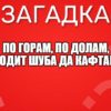 По горам, по долам, ходит шуба да кафтан.