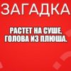 Растет на суше, голова из плюша.