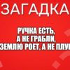 Ручка есть, а не грабли, Землю роет, а не плуг.