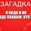 Я вода и по воде плаваю. Кто я?