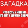 Что есть у кошки, чего нет у других зверей?