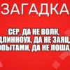 Сер, да не волк, Длинноух, да не заяц, С копытами, да не лошадь.