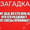 Сидит дед, во сто шуб одет. Кто его раздевает, Тот слёзы проливает.